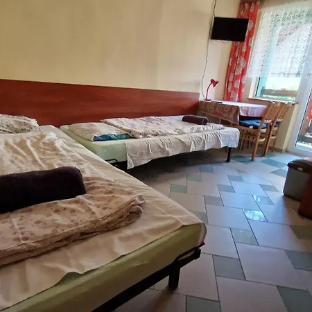 Dom Narciarza Guest house *
